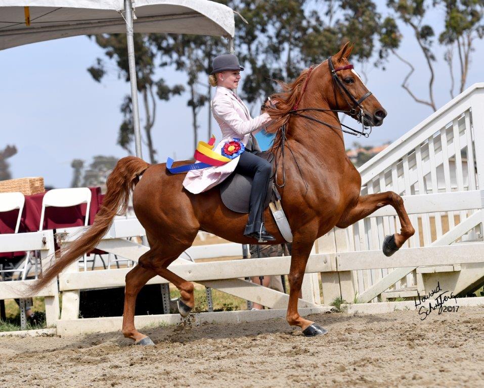 2017 Diamond Jubilee Benefit Horse Show Howard Schatzberg Horse Show