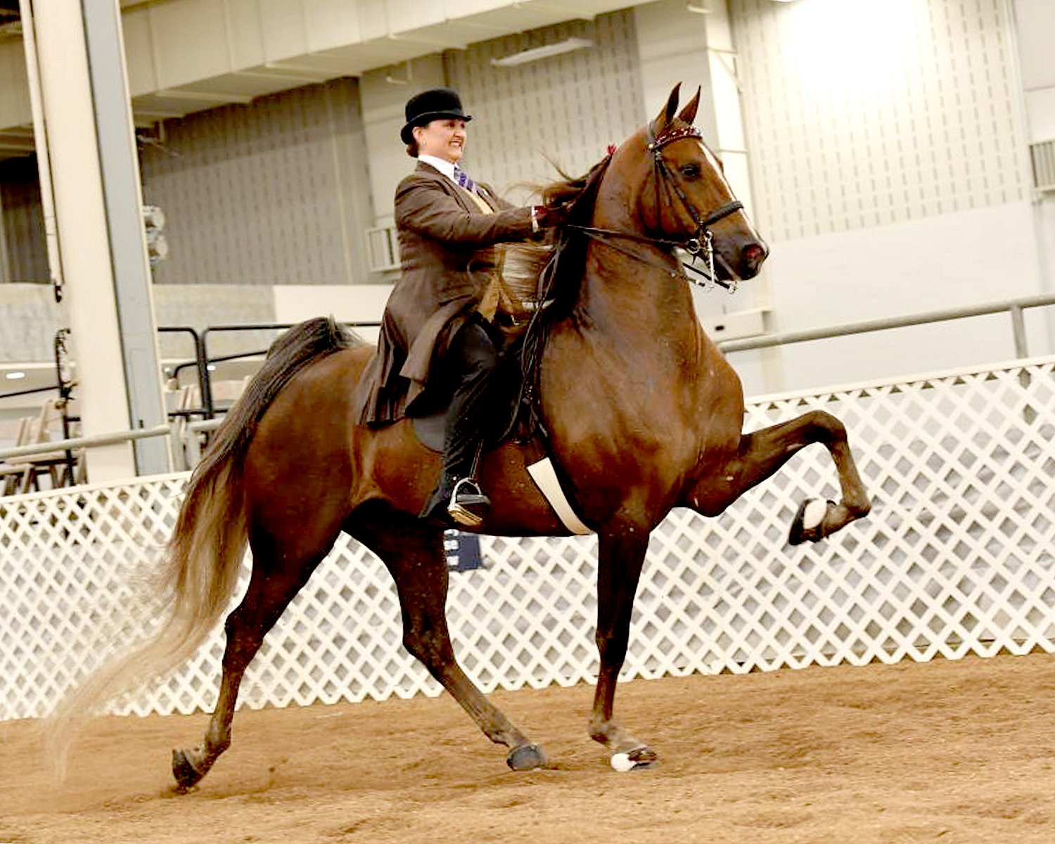 Indy Charity Horse Show Howard Schatzberg Horse Show Proofs 2019