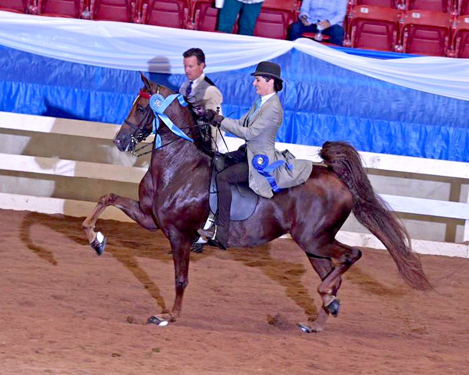 Blue Ridge Classic SPCO Officials Howard Schatzberg Horse Show