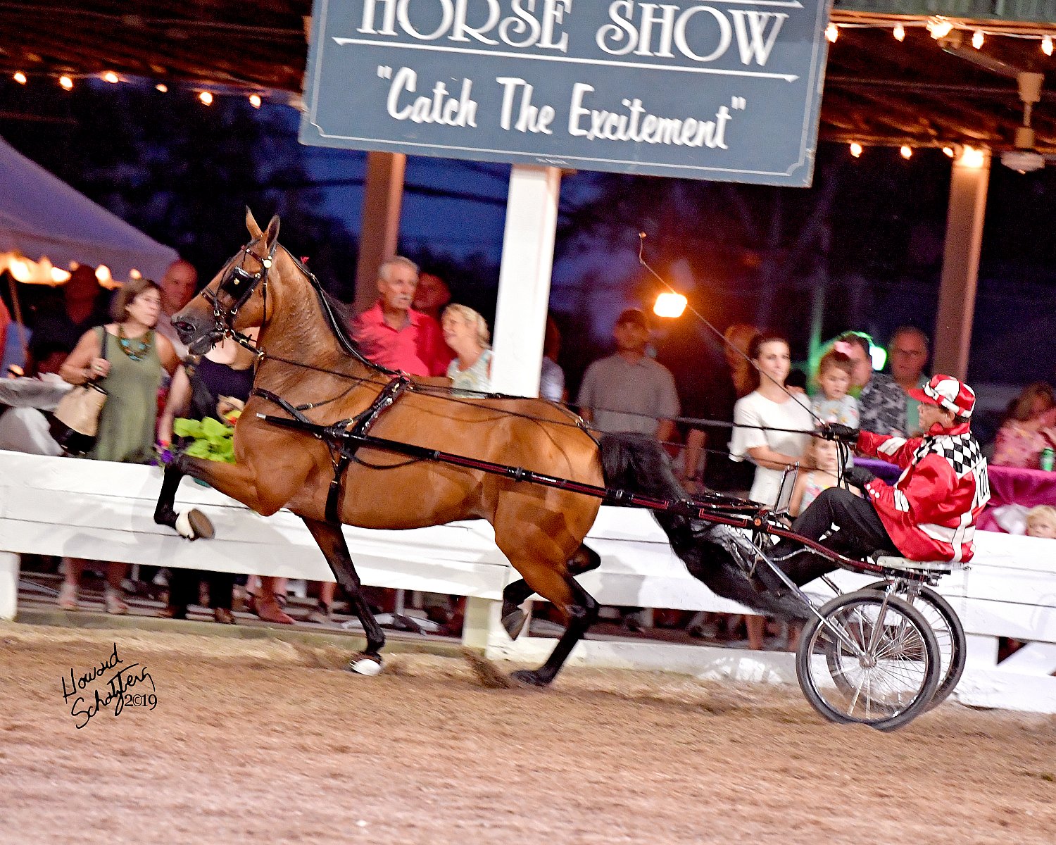 Shelbyville Horse Show Howard Schatzberg Horse Show Proofs 2019