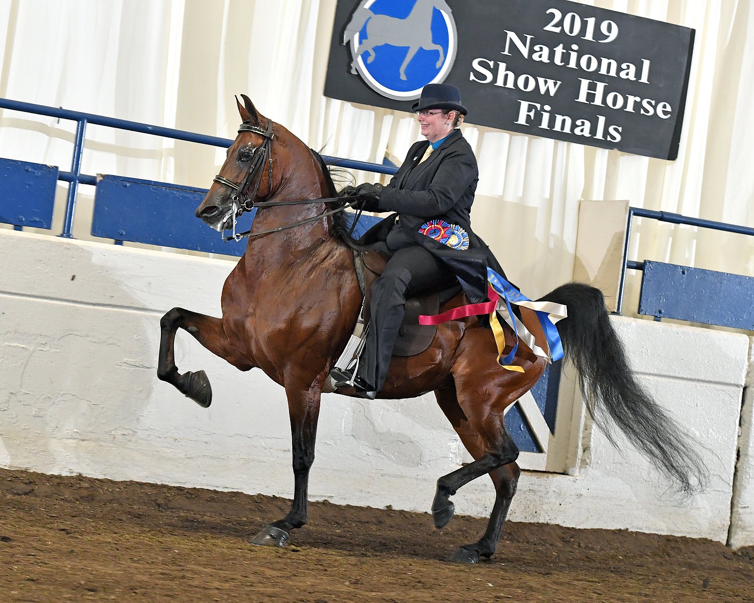 National Show Horse Finals Howard Schatzberg Horse Show Proofs 2019