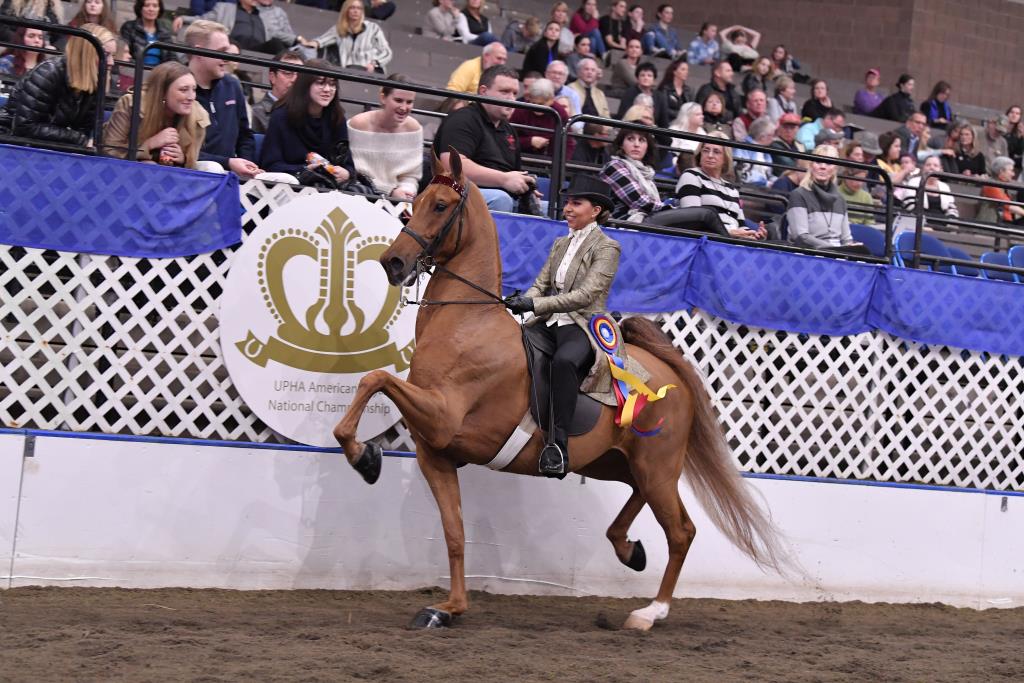 American Royal Howard Schatzberg Horse Show Proofs 2019 www