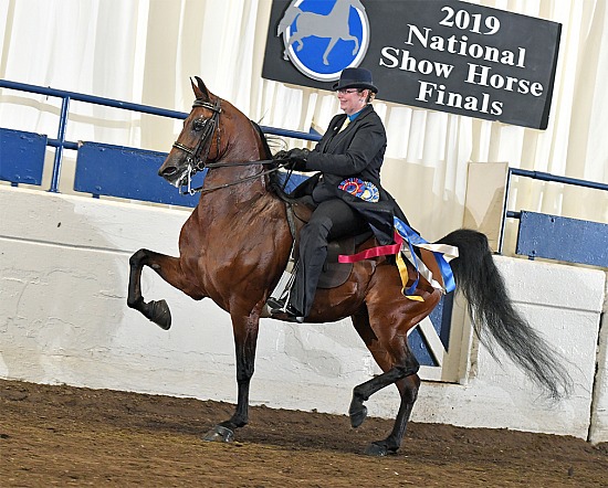 National Show Horse Finals September 15-17