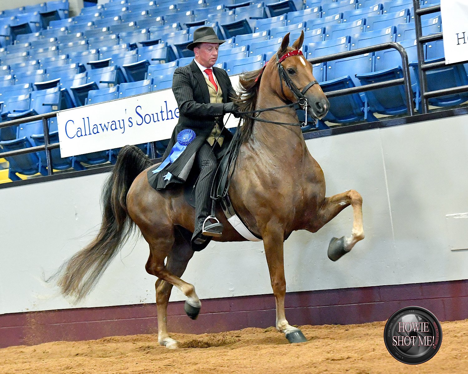 Missouri State Fair Society Show Howard Schatzberg Horse Show Proofs