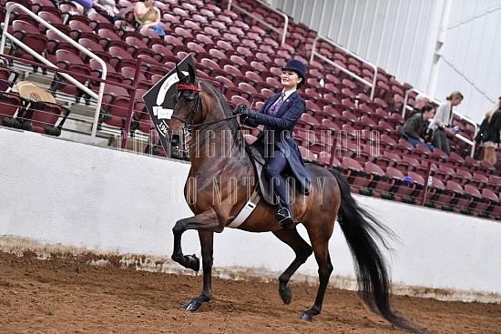 Shelby County Fair Horse Show - JUNE 23, WEDNESDAY - 012 - Saddle And Bridle  Pleasure Equitation Medallion - Howard Schatzberg Horse Show Proofs - 2021  - www.