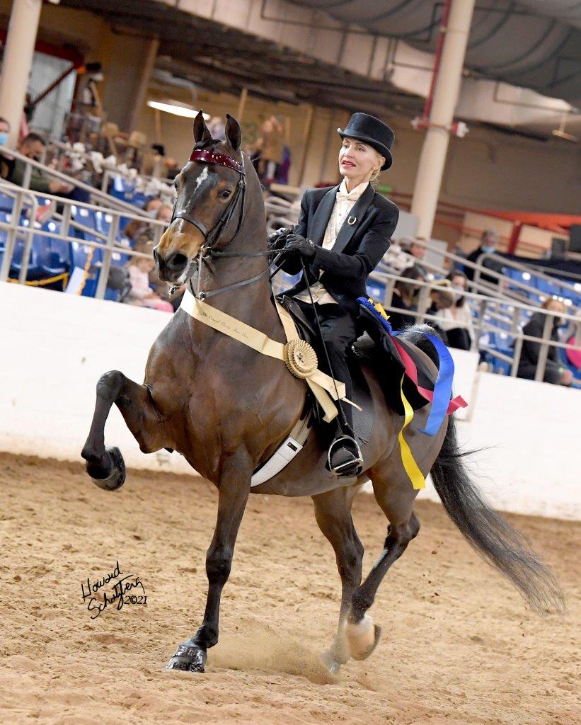 Carousel Charity Horse Show FRIDAY, MARCH 12 Equidome Morning