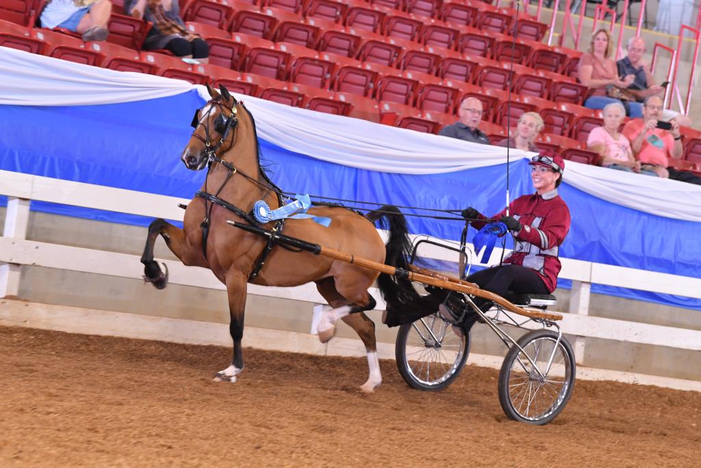 Blue Ridge Classic - Howard Schatzberg Horse Show Proofs - 2021 - www ...