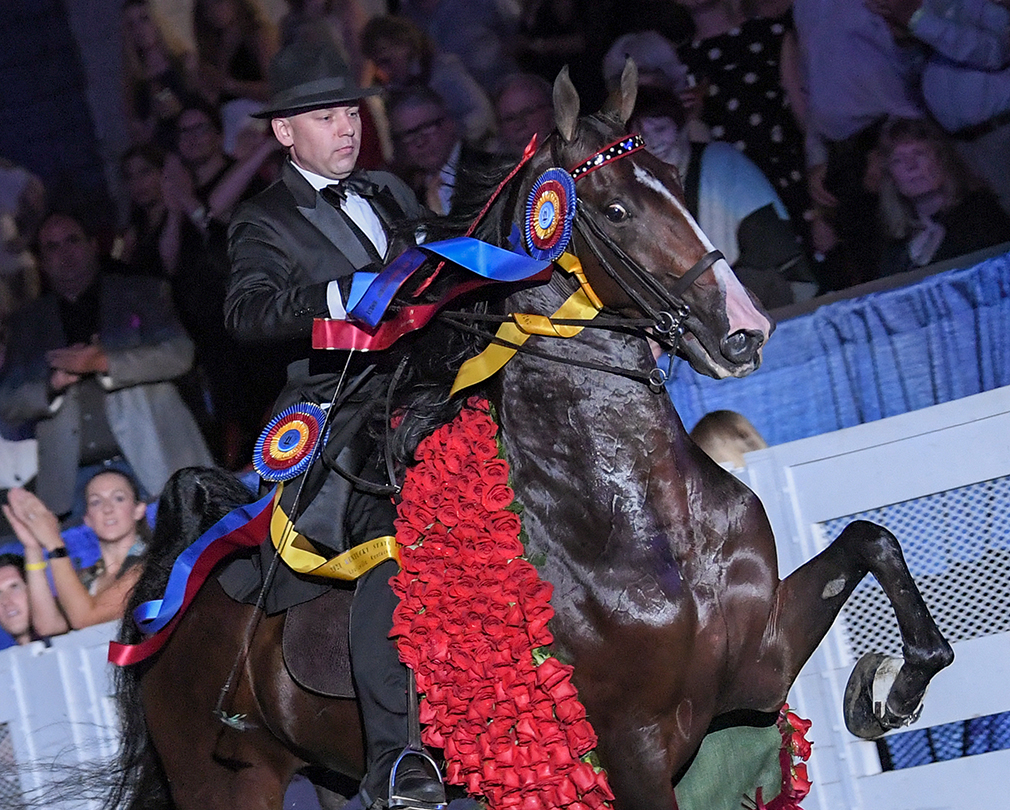 Kentucky State Fair Howard Schatzberg Horse Show Proofs 2021 www