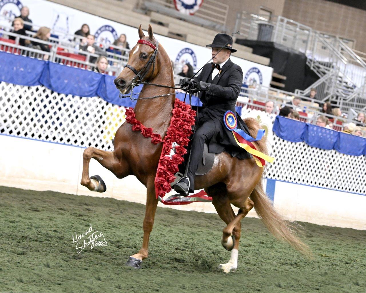 American Royal Howard Schatzberg Horse Show Proofs 2022 www