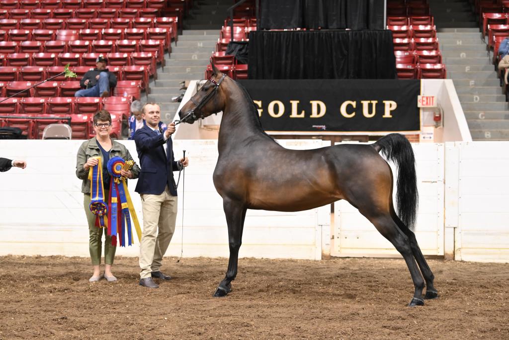 Gold Cup Howard Schatzberg Horse Show Proofs 2023 www