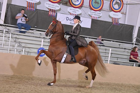 St. Louis Charity Horse Show