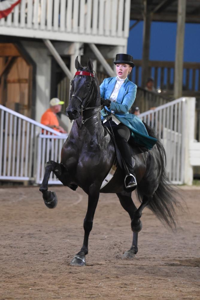 Shelby County Fair Horse Show Howard Schatzberg Horse Show Proofs