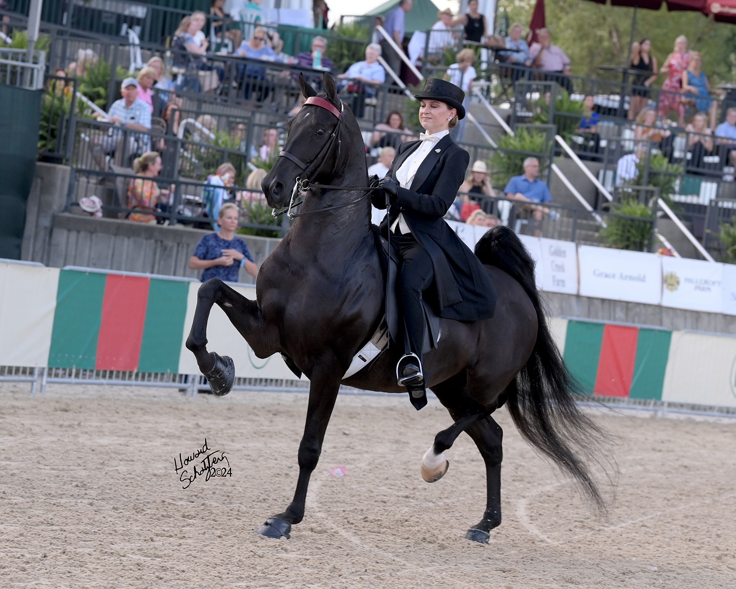 Lexington Junior League - Howard Schatzberg Horse Show Proofs - 2024 ...