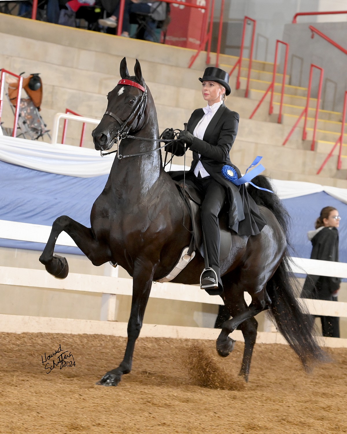 Blue Ridge Classic - Howard Schatzberg Horse Show Proofs - 2024 - www ...