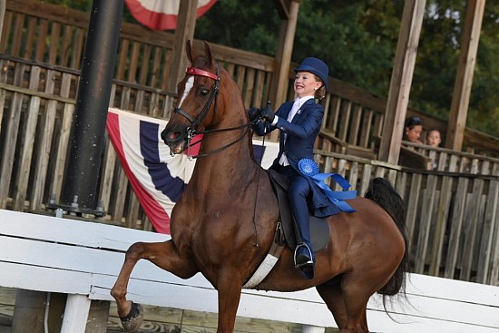 Shelbyville Horse Show