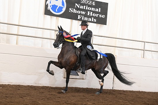 National Show Horse Finals