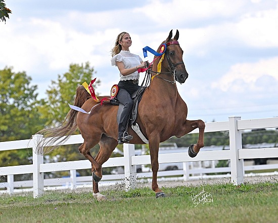 St. Louis Charity Horse Show