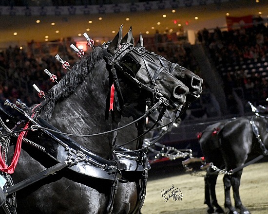 Royal Winter Fair