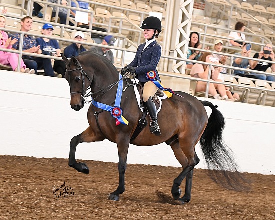 Jubilee Morgan Horse Show August 27-30