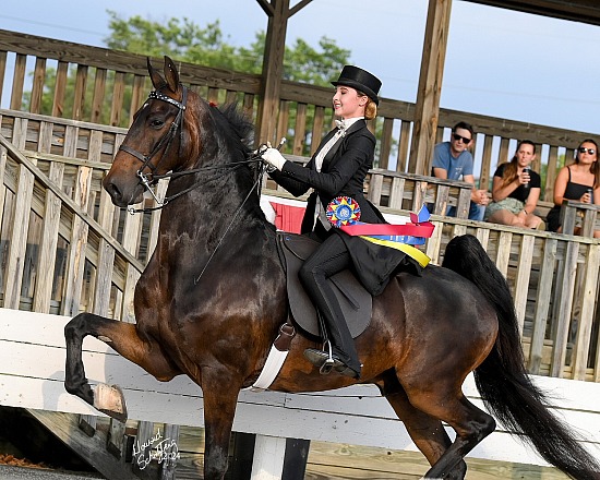 Shelby County Fair June 17-21