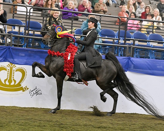 UPHA American Royal: November 10-15