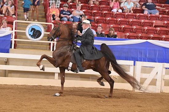 Blue Ridge Classic