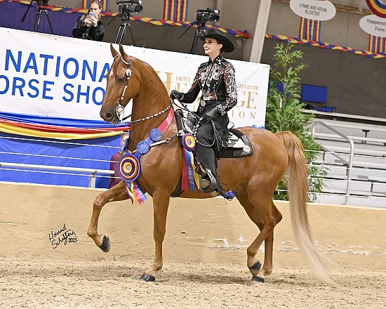 St. Louis Charity Horse Show