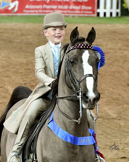 Carousel Charity Horse Show