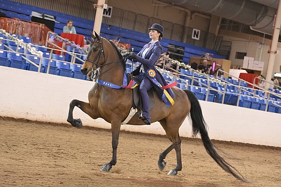 Carousel Charity Horse Show