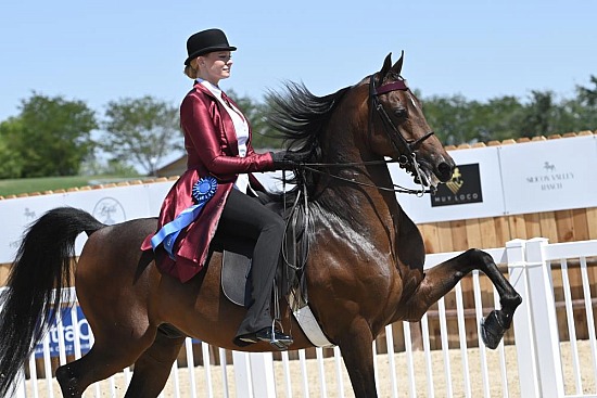 Silicon Valley Horse Show