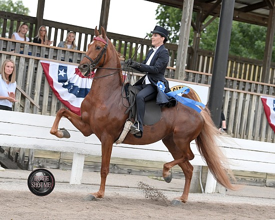 Shelby County Fair Horse Show