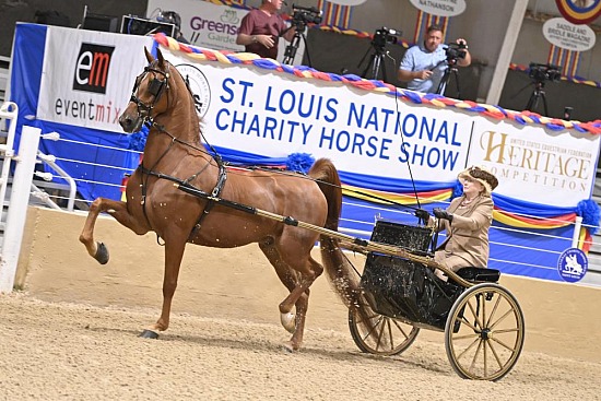 St. Louis Charity Horse Show